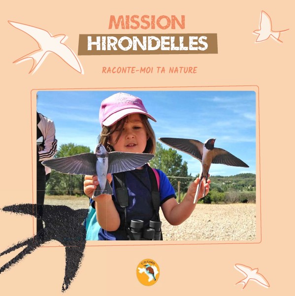 Mission Hirondelles