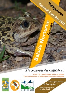 2018_5 oct Amphibiens - Valliguière-page-001